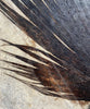 Fossil Palm with Fish - 72" x 70"