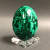 Beautiful Polished Malachite Egg - 1.22 lbs, 3.2"