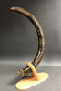 Dark Mammoth Tusk -  56"