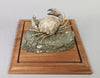 Fossil Crab, Xanthopsis dufourii - 5 inches