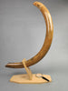 54" Woolly Mammoth Tusk