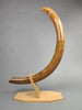 54" Woolly Mammoth Tusk