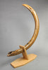 54" Woolly Mammoth Tusk