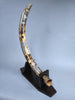 51" Mammoth Tusk, Netherlands