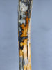 51" Mammoth Tusk, Netherlands