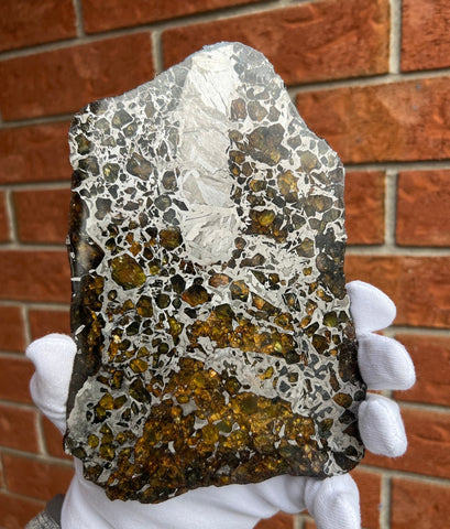 Meteorite Slice for Sale - Seymchan Pallasite, 389 grams