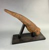 Large Triceratops Brow Horn