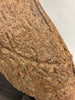 Large Triceratops Brow Horn