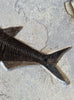 Fish Mural, Large Phareodus - 42" x 32"