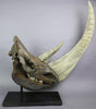 Spectacular Complete Woolly Rhino Skull