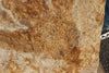Theropod Dinosaur Footprint - 22"