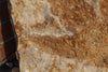 Theropod Dinosaur Footprint - 22"