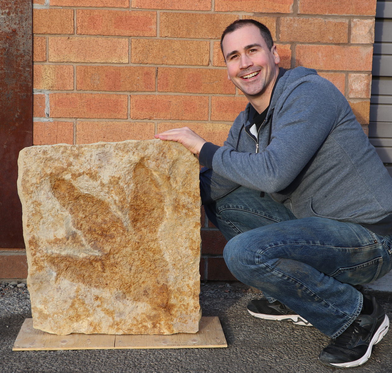 Huge Dinosaur Footprint For Sale Theropod Fossil Realm