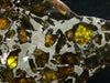 Large Meteorite Slice - Admire Pallasite, 975 grams