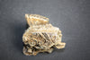 Rare Baby Woolly Mammoth Jaw with P3 Tooth, Holland 