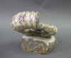 Heteromorph Ammonite, Australiceras - 9.5"