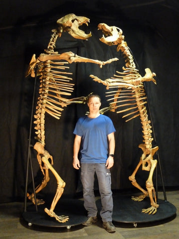 Spectacular Cave Bear Skeletons, 9'2" Tall