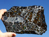 Seymchan meteorite, 389 grams