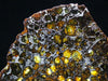 Seymchan Meteorite Slice - 541.6 grams