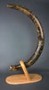Dark Mammoth Tusk -  56"