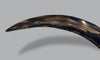 Mammoth Tusk, Alaska, United States