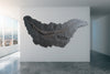 Crocodile - Steneosaurus bollensis - 12.63' x 6.0'