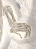 Jurassic Turtle, Painten Formation, Germany