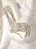 Fossil Turtle, Eurysternum wagleri