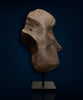 Stone Meteorite with Face-like Form, 3.39 kg