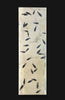 Large Fossil Fish Shoal - 74 x 24 inches