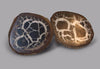 Set of 10 Cut Septarian Nodule Halves, Morocco