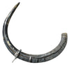 Mammoth Tusk, Alaska, United States